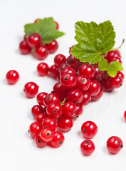 Red currant super food on white background