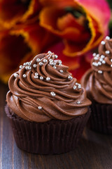 Mothers day  chocolate cupcakes  with spring tulips