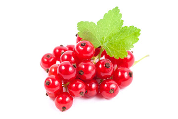 Red currant superfood isolated white background
