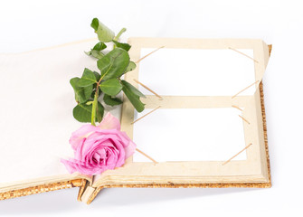isolated open photo album book with rose