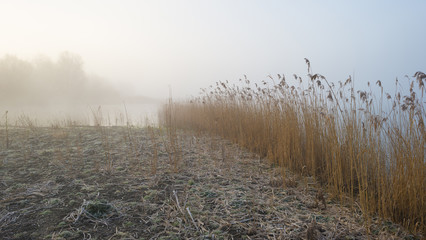 Misty shore of a lake at sunrise in winter