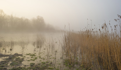 Misty shore of a lake at sunrise in winter