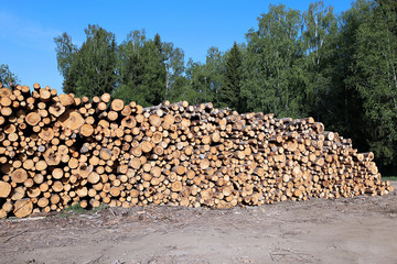 Harvesting timber logs