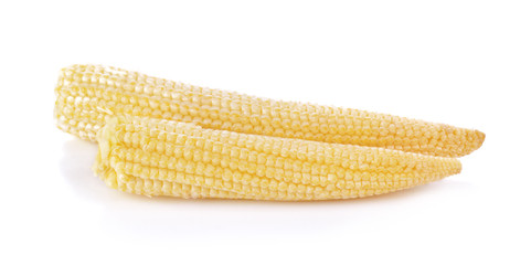 Baby corn on a white background