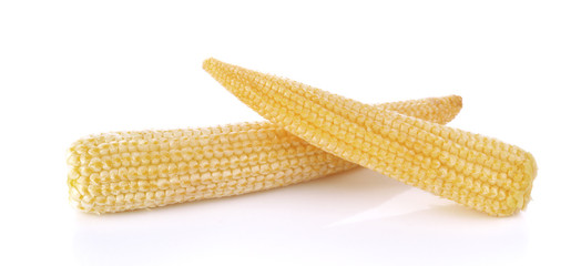 Baby corn on a white background