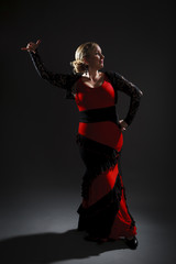 Flamenco Dancer