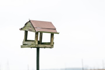 Birds feeder outdoor