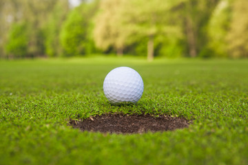 golf ball. golf ball in fairway