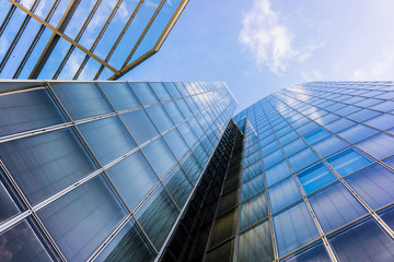 office buildings.  glass silhouettes.  Skyscrapers