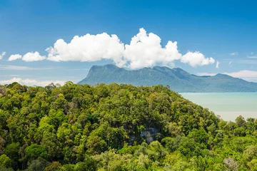 Tropical landscape over jungle and hills