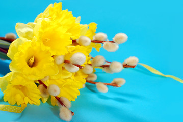 bunch of daffodils and catkins for easter