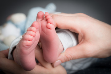 close up studio shot of a newborn baby feet