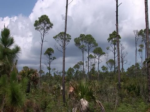  Lucayan National Park On Grand Bahama 