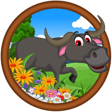 cute buffalo cartoon posing