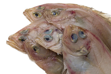 fresh fish isolated