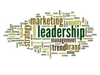 Conceptual business word cloud