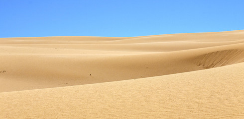 desert sand pattern texture background from the sand in the Dune