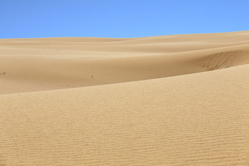 desert sand pattern texture background from the sand in the Dune