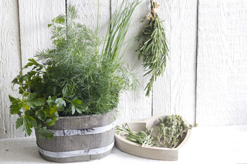 Fresh herbs and spices on white planks food concept