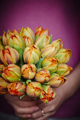 Fototapeta premium Bouquet