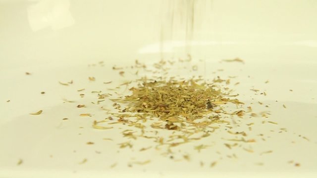 Dried dill fray on the white surface