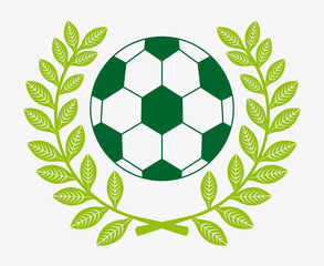 Obraz premium soccer sport