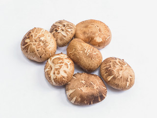 Fototapeta na wymiar shiitake mushroom