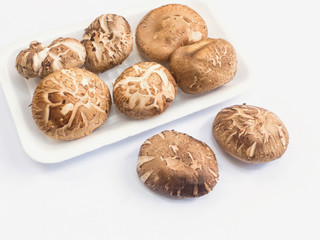 shiitake mushroom
