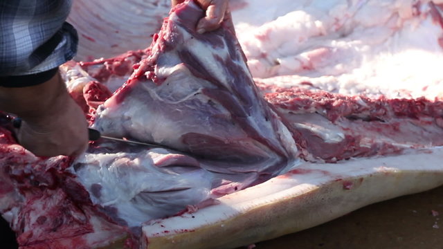 Slicing Large Raw Meat