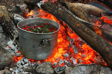 Touristic bowler on burning coals. Cooking hot drinks from the hips and forest berries on the touristic fire.