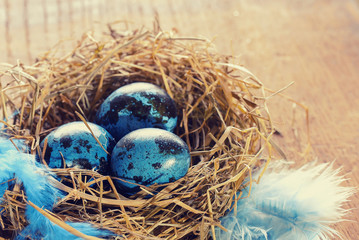 Naklejka na ściany i meble Blue easter eggs in nest