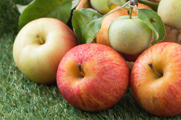 fresh garden apples on green grass, close-up