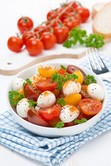 salad with mozzarella, fresh herbs and colorful cherry tomatoes