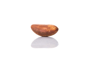 Brazil nuts over white background