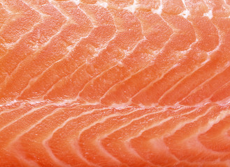 closeup Fresh red salmon texture background
