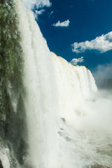Beautiful landscape in rainforest iguazu waterfalls argentina