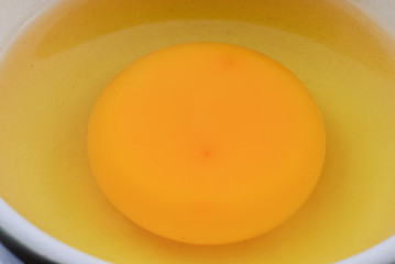 Cracked egg shell with yolk and protein