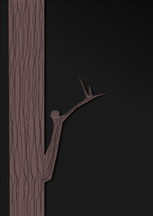 Noche en el bosque 