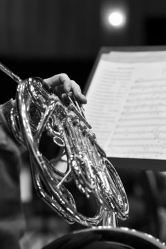 French horn in the hands of a musician in black and white