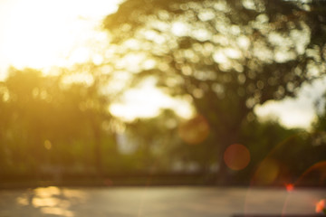 Bokeh leaf with sunlight