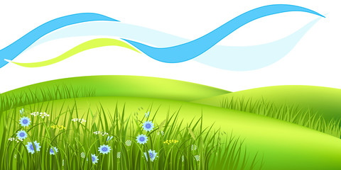 Meadow with grass abstract isolated - 79690965