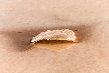 detail of salt basins in saline de Janubio