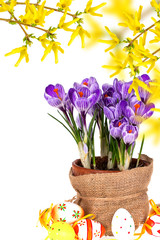 Easter eggs and flowers.