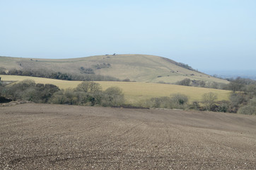 Sussex Winter Landscape
