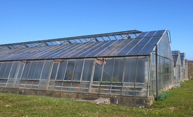 Gew&auml;chsh&auml;user