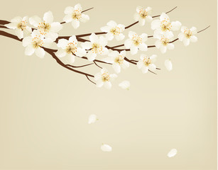 Blossoming tree branch with spring flowers. Vector illustration.
