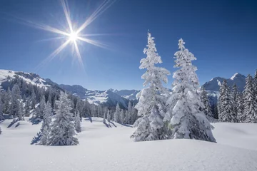 Fototapete Foto des Tages Winter Bergpanorama