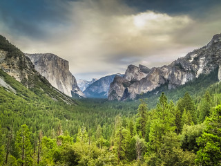 Fototapeta premium Yosemite Valley
