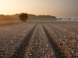 Plowed field landscape