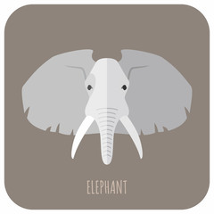 Animal Portrait With Flat Design Vector Illustration. Elephant
